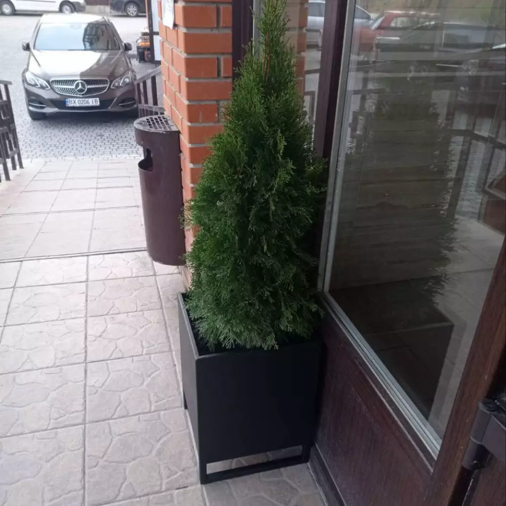 Велике металеве кашпо з матовим чорним покриттям для тераси